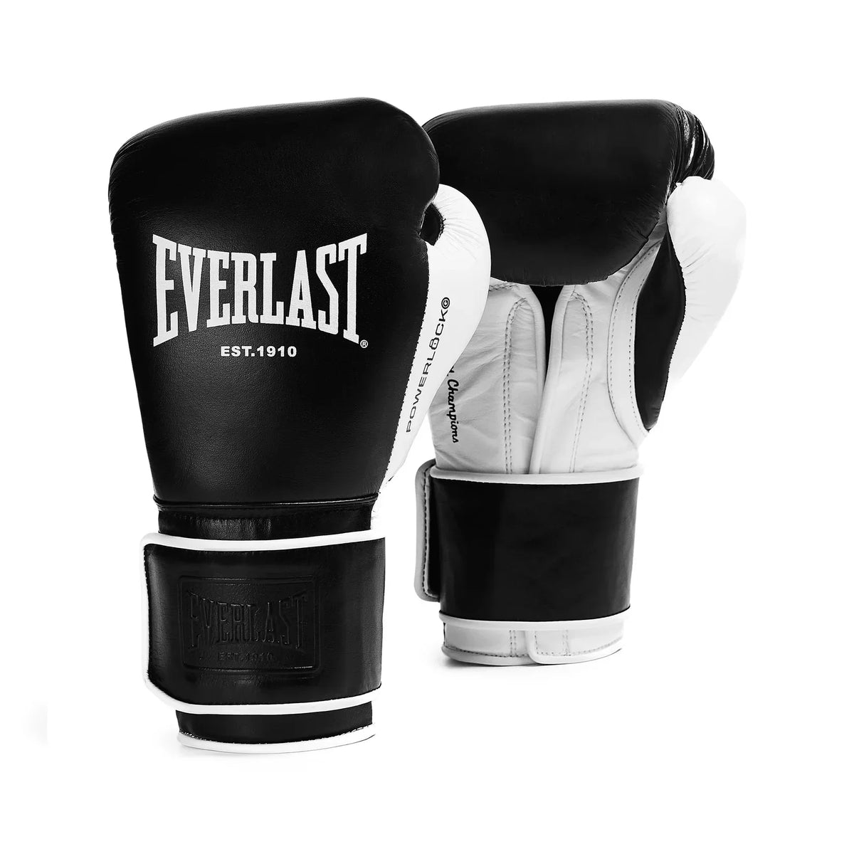 Everlast Powerlock OG Pro Training Glove Hook and Loop – Box-Up