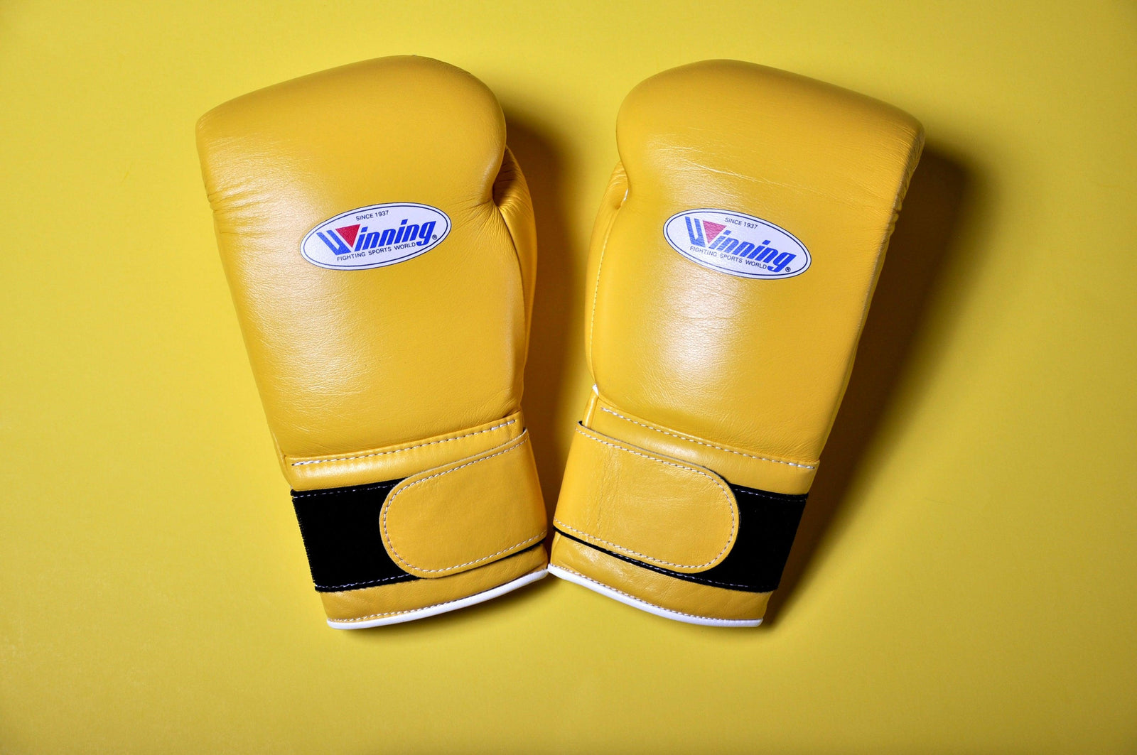 winning_yellow_ms600b