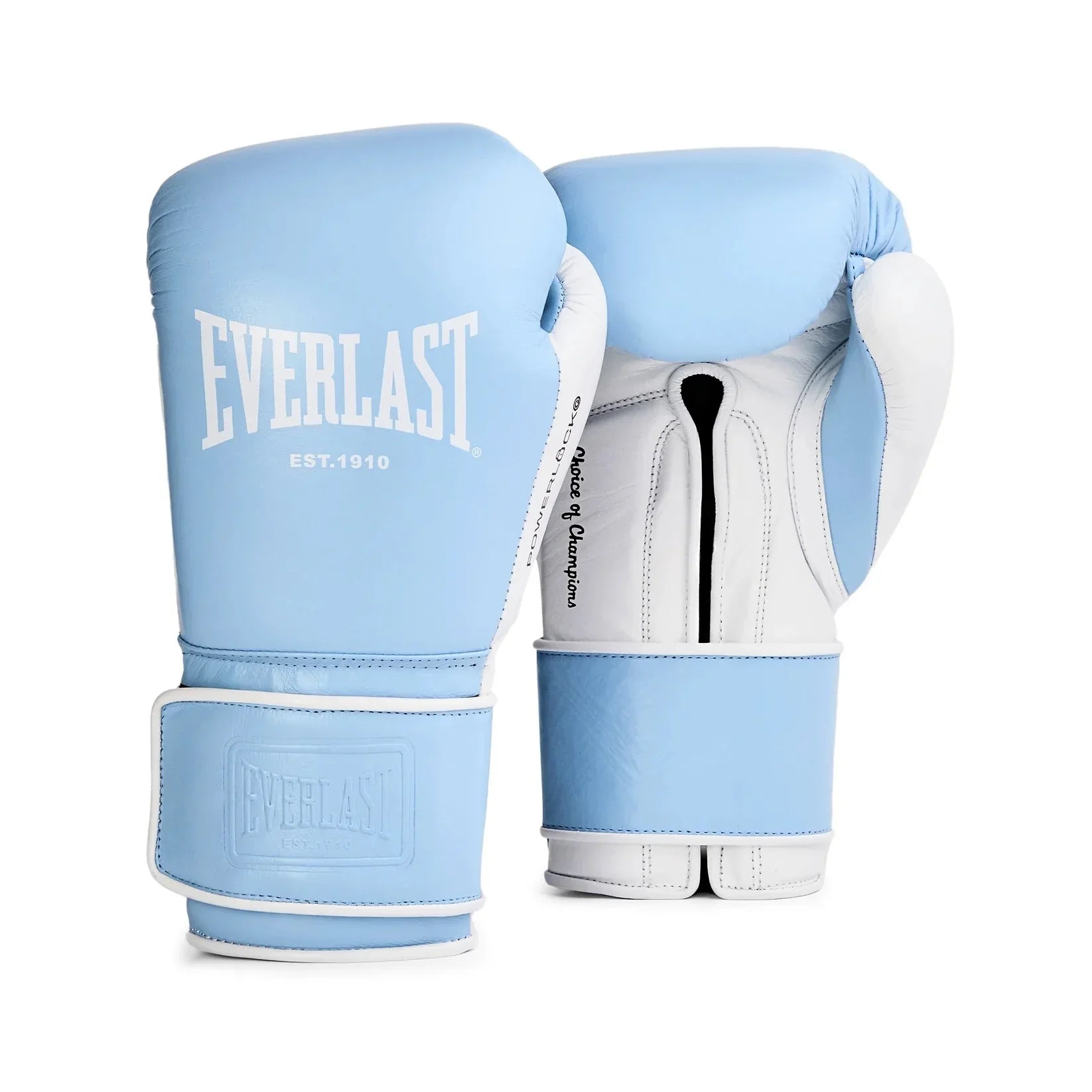 Everlast Powerlock OG Pro Training Glove Hook and Loop – Box-Up