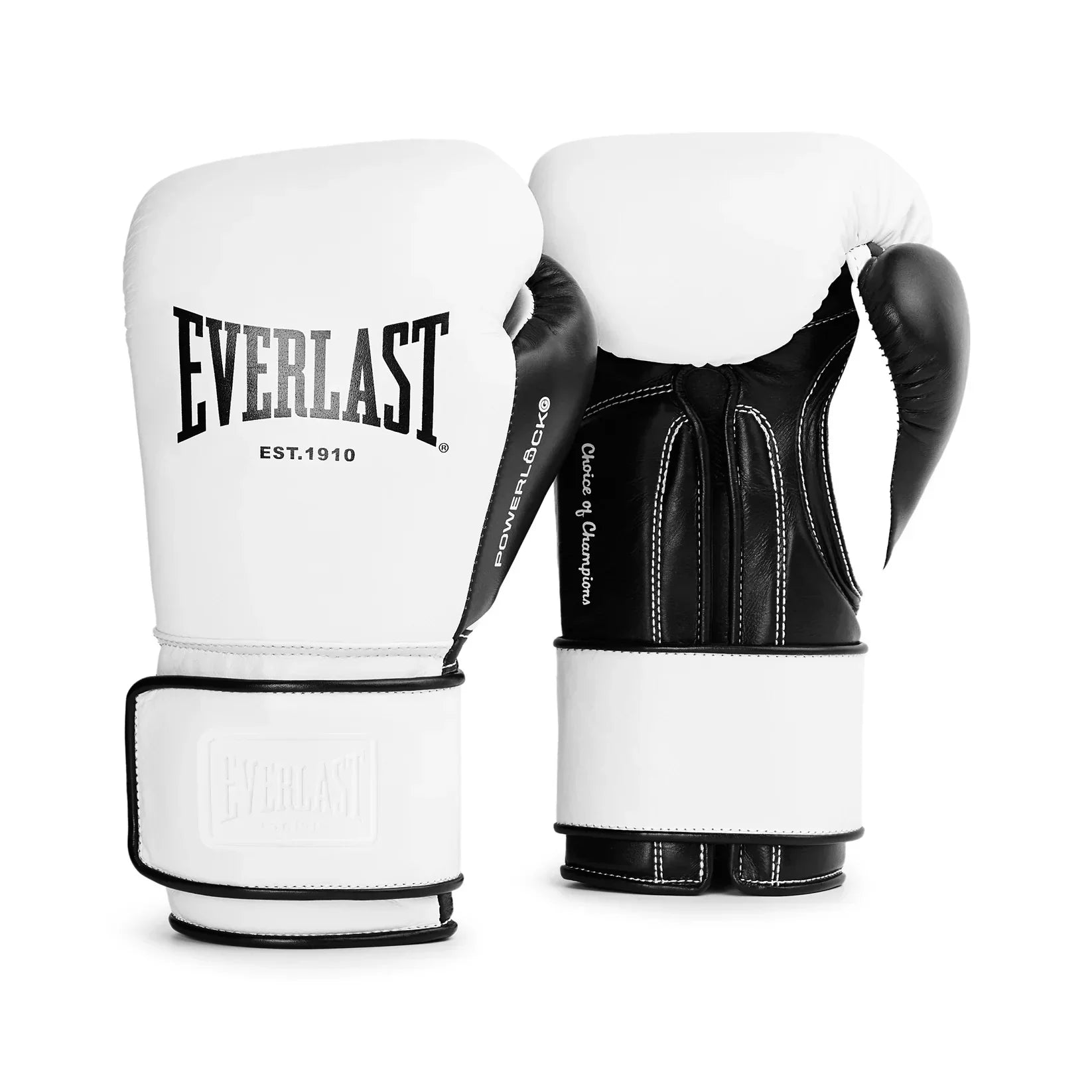 Everlast Powerlock OG Pro Training Glove Hook and Loop – Box-Up