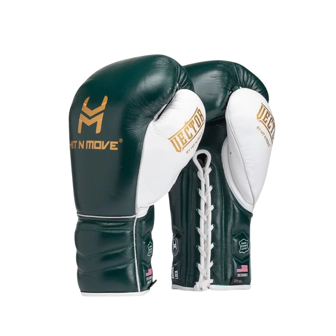 Vector Boxing Gloves
