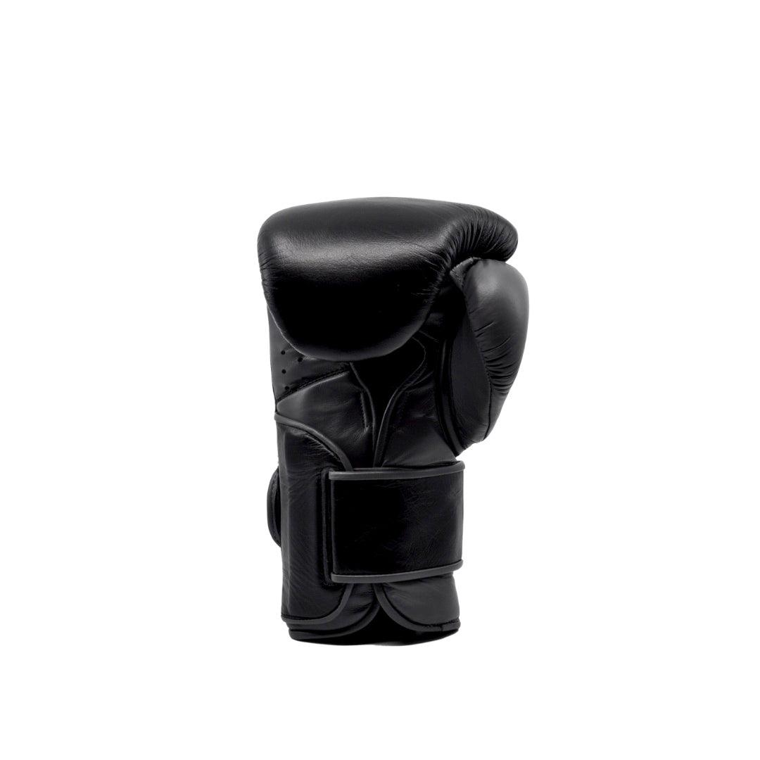 Everlast Powerlock 2 velcro