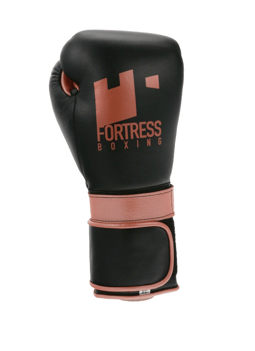 Fortress Boxing Training gloves 